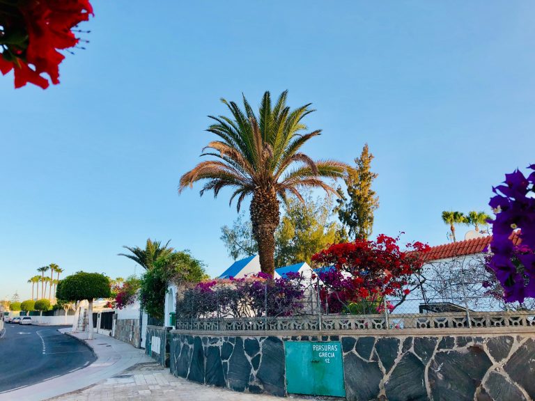 Eine Woche Gran Canaria im Mai 2019