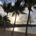 Arlie Beach