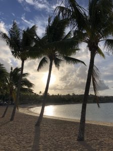 Arlie Beach