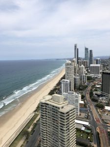Surfer's Paradise