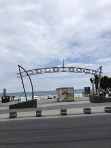 Surfer's Paradise