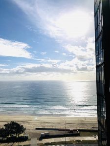 Surfer's Paradise